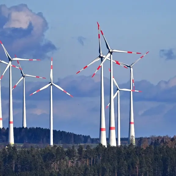 Fast ein Drittel Windstrom